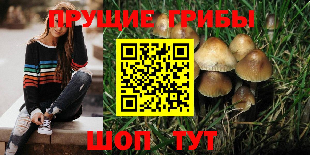 Галлюциногенные грибы GOLDEN TEACHER Хабаровск
