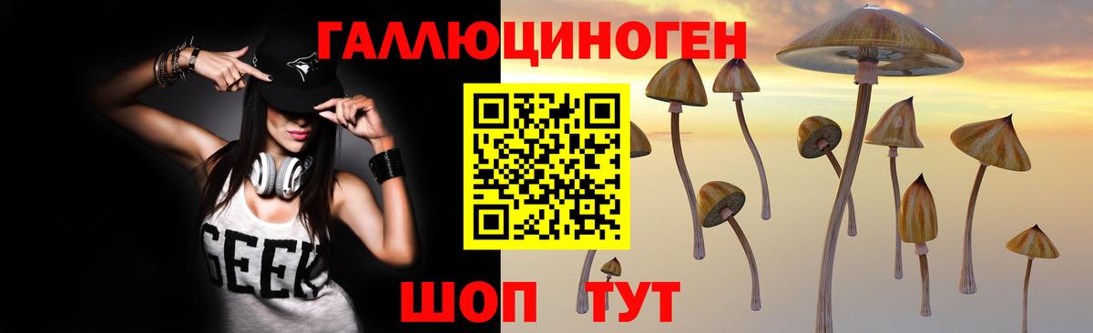 купить наркотики сайты  Вход с VPN  Хабаровск  Галлюциногенные грибы MAGIC MUSHROOMS 